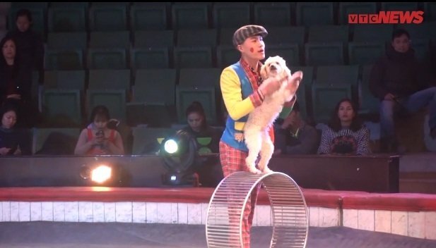 Gặp chàng trai 9X huấn luyện chó làm xiếc ở Hà Nội