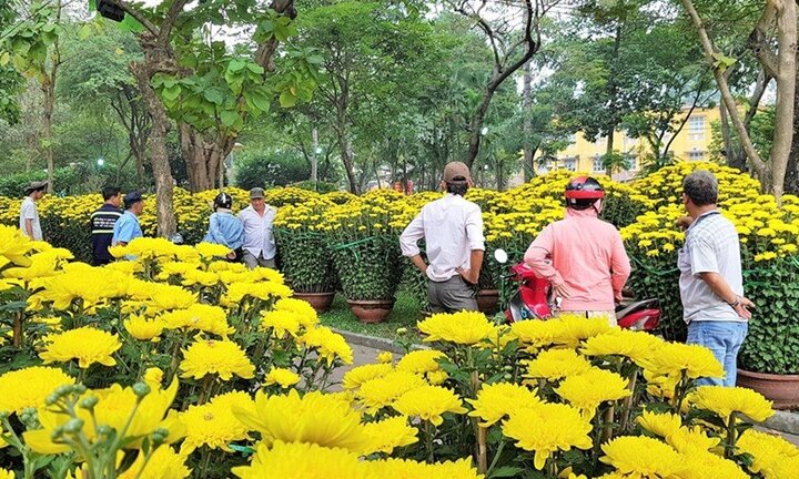 Hoa, cây cảnh ngày cuối năm thi nhau 'xả hàng', giảm giá 80%