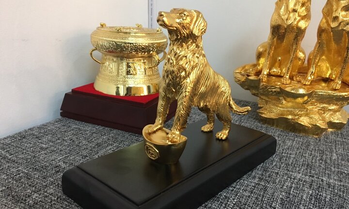 Đại gia Việt chơi ngông, chi cả trăm triệu đồng mua linh khuyển mạ vàng cầu may