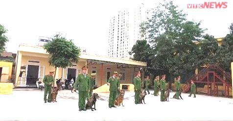 Chiến binh 4 chân của lực lượng công an, từng bảo vệ an ninh Hội nghị APEC