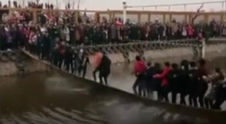 Clip: Du khách nhún nhảy làm sập cầu, nhiều người rơi xuống sông