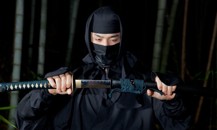 Ninja sẽ xuất hiện trước Quốc hội Nhật Bản