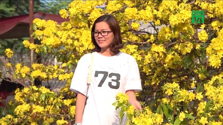 Hết Tết, cây mai vàng 2 tỷ đồng vẫn hút khách tham quan