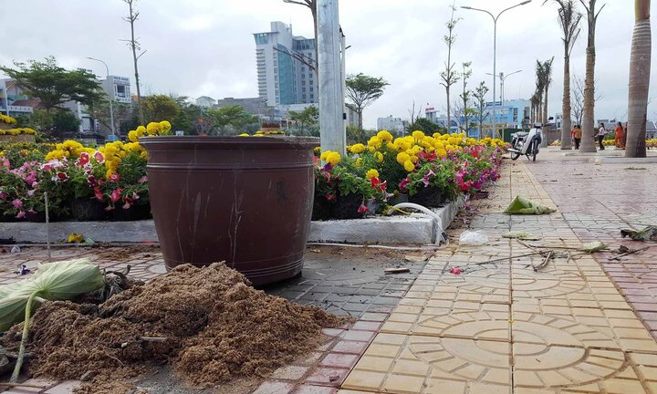 Vì sao 10 thanh niên nhổ cây, phá nát vườn hoa Xuân hơn 3 tỷ đồng?