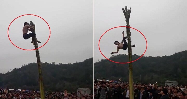 Clip: Trèo cây chuối trong lễ hội đầu xuân, nam thanh niên té ngã đau đớn