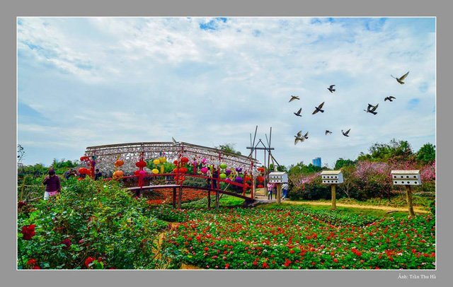 Sự kiện du xuân không thể bỏ qua năm 2018 tại Hà Nội