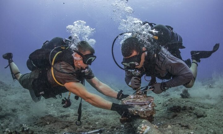 Cáp biển quốc tế APG lại một lần nữa bị đứt: Đường truyền Internet tại Việt Nam ảnh hưởng thế nào?