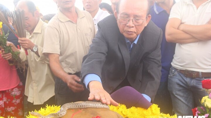 Cặp 'rắn thần' ở Quảng Bình dân đổ xô quỳ lạy là 2 con...rắn nước