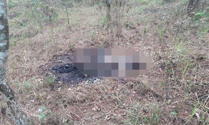 Thi thể phụ nữ cháy đen tại rừng thông