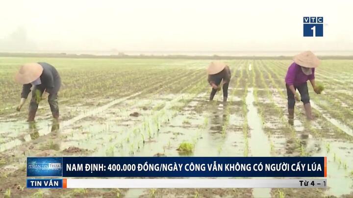 Nam Định: 400.000 đồng/ngày công vẫn không có người cấy lúa