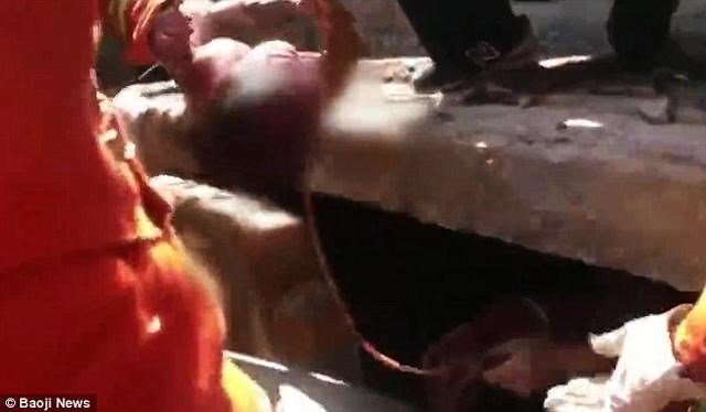 Bị đẻ rơi trong hố nước thải, bé sơ sinh sống sót thần kỳ