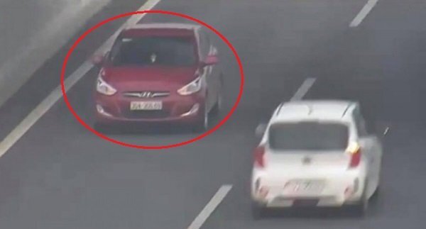 Nữ tài xế phóng xe ngược chiều trên cao tốc là 'tự sát' và 'ngộ sát' cho hàng loạt người