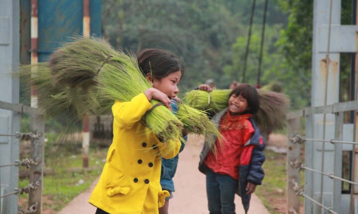 Ảnh: Trẻ em vùng núi Quảng Bình chân trần kéo nhau lên rừng hái 'lộc trời'
