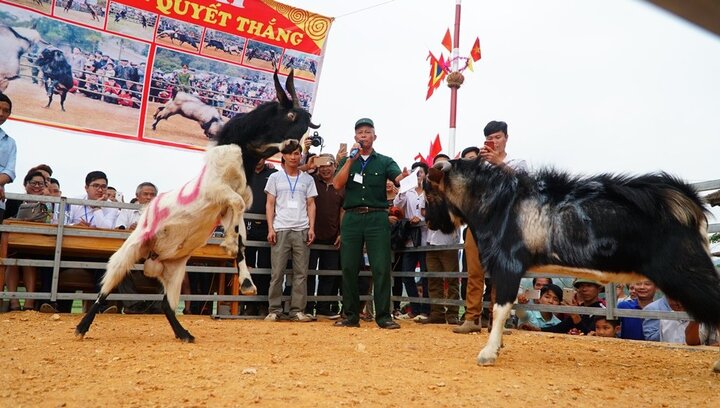 Video: Xem 'võ sĩ dê' Bắc Giang tranh tài nẩy lửa trên võ đài