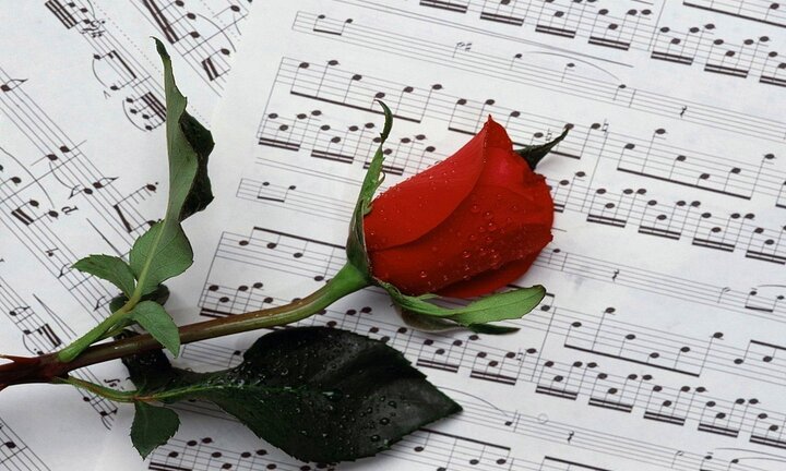 Lời chúc ngày 8/3 cho người yêu