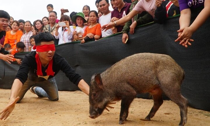 Video: Cười vỡ bụng với cuộc thi bịt mắt bắt lợn rừng ở Bắc Giang