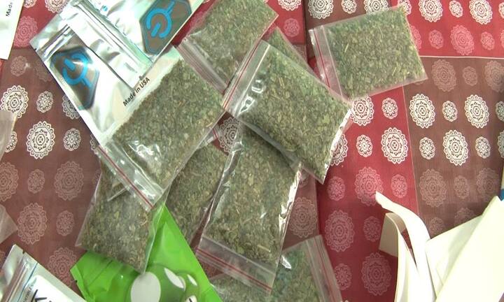 Mở quán bắp rang, kinh doanh luôn cỏ Mỹ