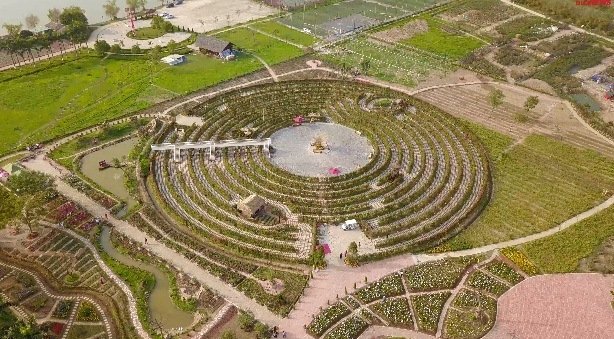 Video: Chiêm ngưỡng mê cung cây 'khủng' nhất Việt Nam mới 'mọc' lên ở Hà Nội