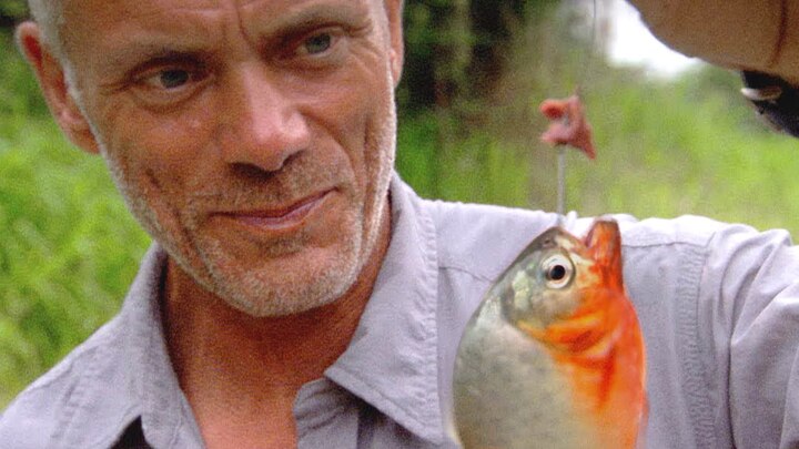 Clip: Xem cần thủ câu thủy quái ăn thịt trên sông Amazon dễ như bỡn