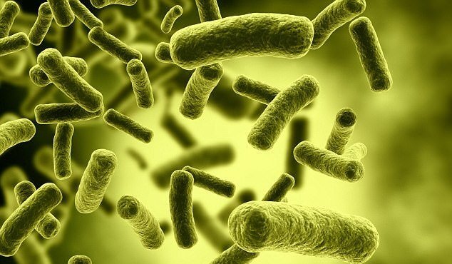 Hàng tỷ virus đang rơi xuống Trái đất mỗi ngày