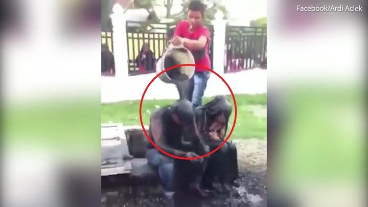 Bị nghi quan hệ trước hôn nhân, đôi nam nữ bị dội nước cống lên đầu