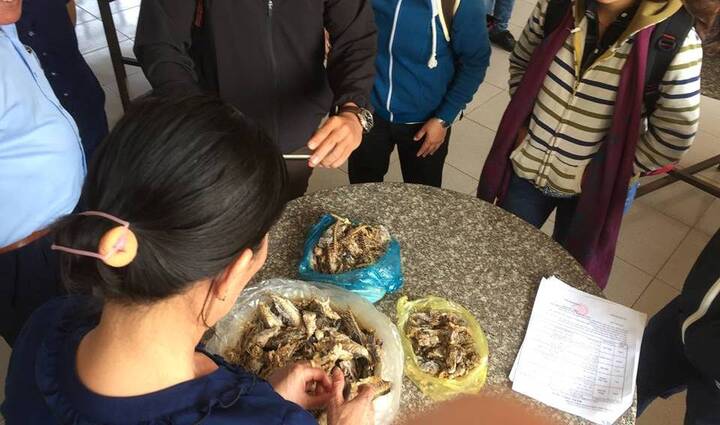 Thực hư tin đồn có giun sán trong món cá nục hấp của học sinh Đắk Lắk