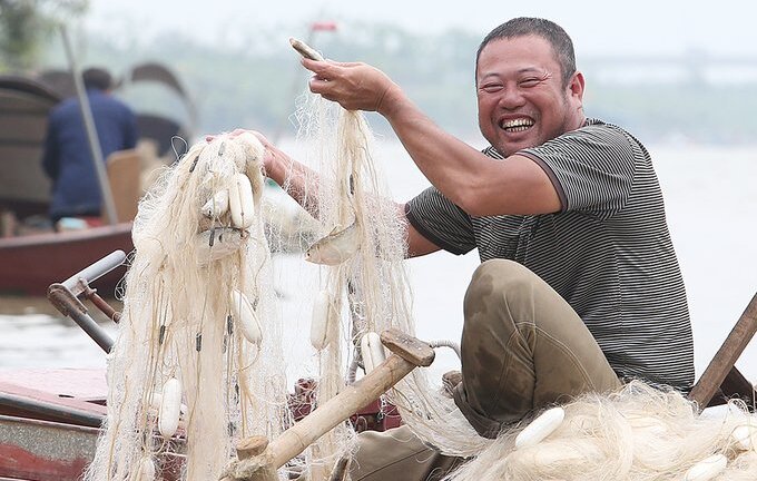 Theo chân nông dân Hưng Yên bắt cá mòi mùa sinh sản thu tiền triệu mỗi ngày