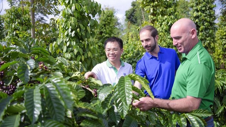 Công nghệ NPK hóa học từ Tây Ban Nha đã đến Việt Nam