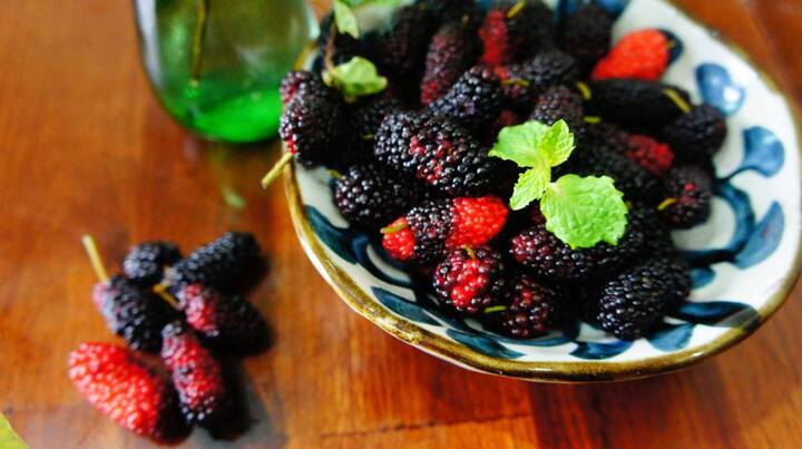 Buôn dâu tằm đầu mùa, kiếm tiền triệu trong vài ngày