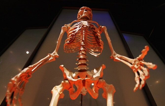 PGS.TS Nguyễn Tiến Dũng: Đồ hỏng gọi thợ sửa, sao con ốm đòi tự chữa?