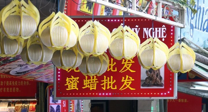 Bộ VH,TT&DL yêu cầu chấn chỉnh 'phố Tàu, phố Nga' ở Nha Trang