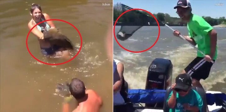 Video: Những màn câu cá, bắt cá bằng tay chân 'đỉnh nhất quả đất'