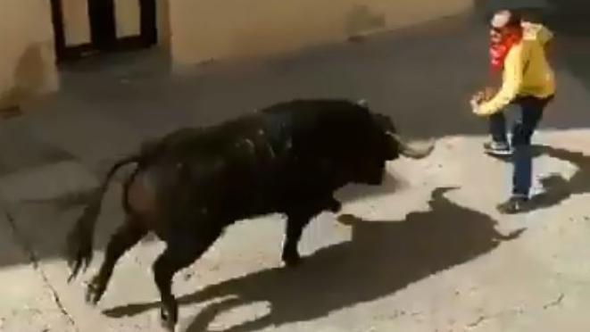 Tham gia lễ hội, người đàn ông bị bò tót húc chết