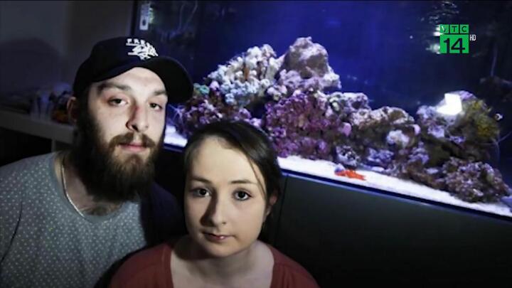 Rửa bể cá, cả gia đình suýt chết vì nhiễm độc