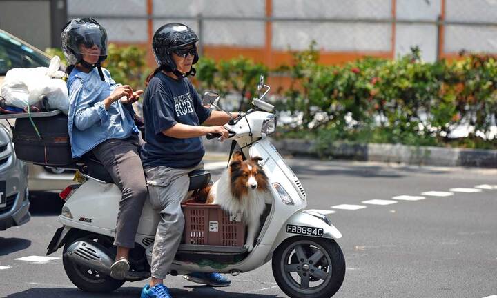 Vứt xe máy cũ, dân Singapore được chính quyền trả 60,7 triệu đồng