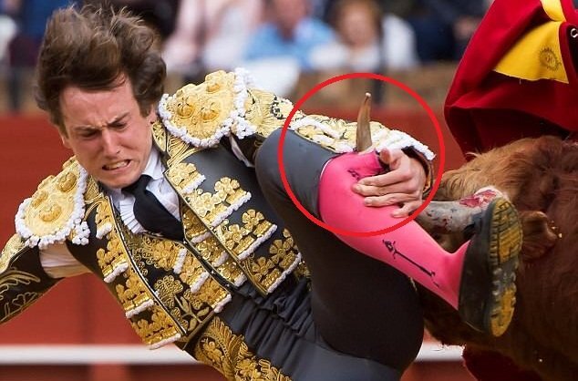 Clip: Hãi hùng khoảnh khắc bò tót húc thủng đùi đấu sỹ