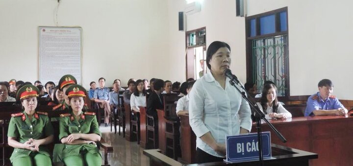 Kẻ phản động nhằm lật đổ chính quyền ở Hà Tĩnh lĩnh án 9 năm tù