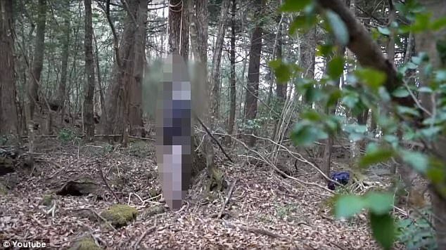 Đâm vợ nhập viện, cụ ông treo cổ tự tử