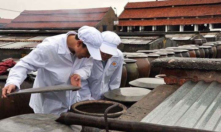 Độ đạm nước mắm Cát Hải được nâng cao nhờ công nghệ