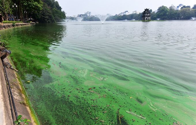 Video: Mặt nước Hồ Gươm nổi váng xanh đậm đặc, bốc mùi tanh khó chịu