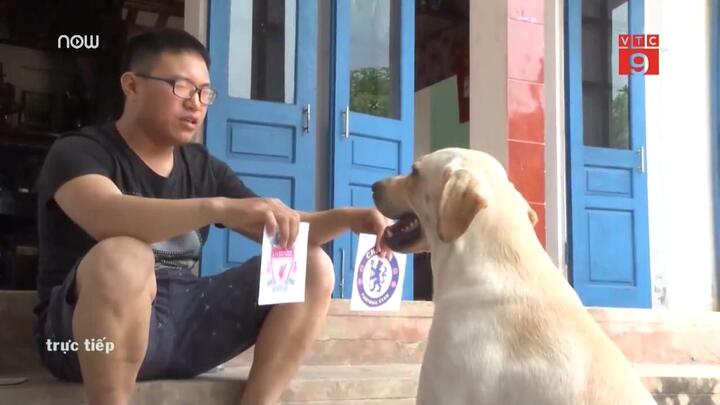 Clip: Chú chó Củ Cải có biệt tài làm toán, nhớ tên đội bóng gây bão mạng