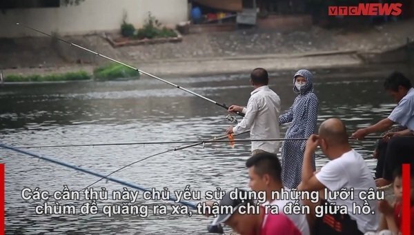 Video: Cần thủ 'giăng bẫy' trên 'hồ thiên nga' duy nhất của Hà Nội