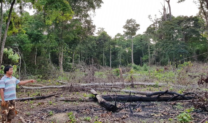 Hơn 20 cán bộ công an, kiểm lâm ở Phú Quốc vượt rừng dập lửa