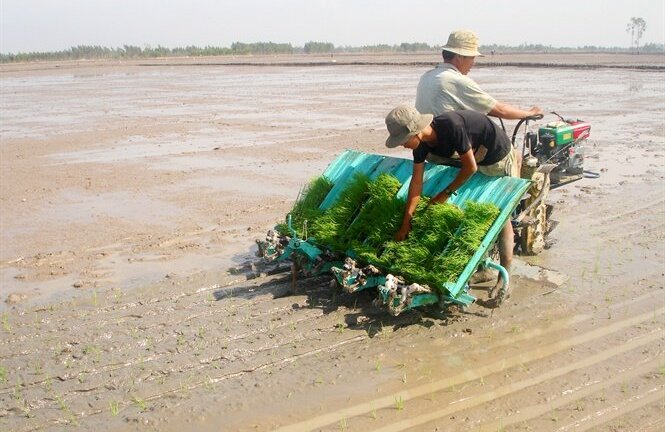 Ứng dụng cơ giới hóa giảm lượng giống gieo sạ