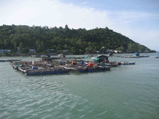 Trục xuất nhóm 'Hội Thánh Đức Chúa Trời Mẹ' truyền đạo trái phép ra khỏi đảo ở Kiên Giang