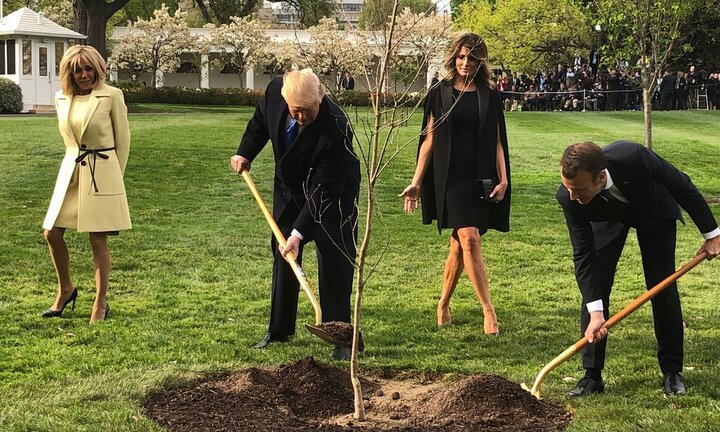 Cây sồi Tổng thống Trump và ông Macron trồng tại Nhà Trắng biến mất bí ẩn