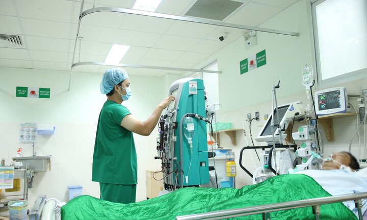 Lấy được 250 mũi kim ong đốt trên người lão nông ở miền Tây