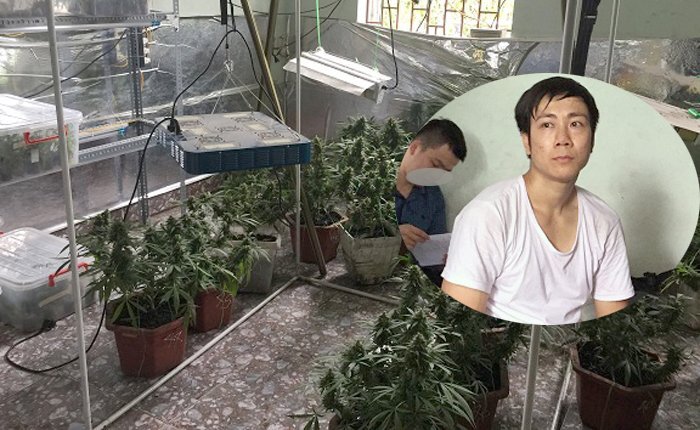 Bắt nam thanh niên trồng cần sa, truyền đạo trái phép 'Hội Thánh Đức Chúa Trời Mẹ'