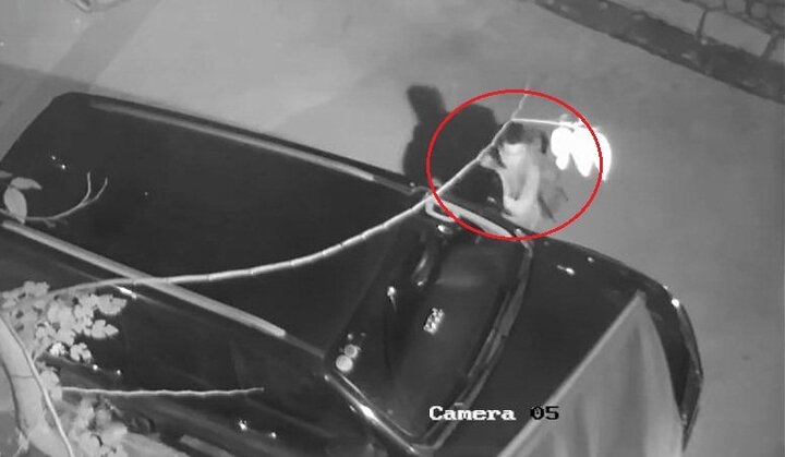 Clip: Trộm đeo ba lô đi vặt gương, cạy logo ô tô nhanh như chớp ở Hà Nội