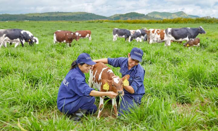 Minh bạch và sòng phẳng trong quan hệ hợp đồng